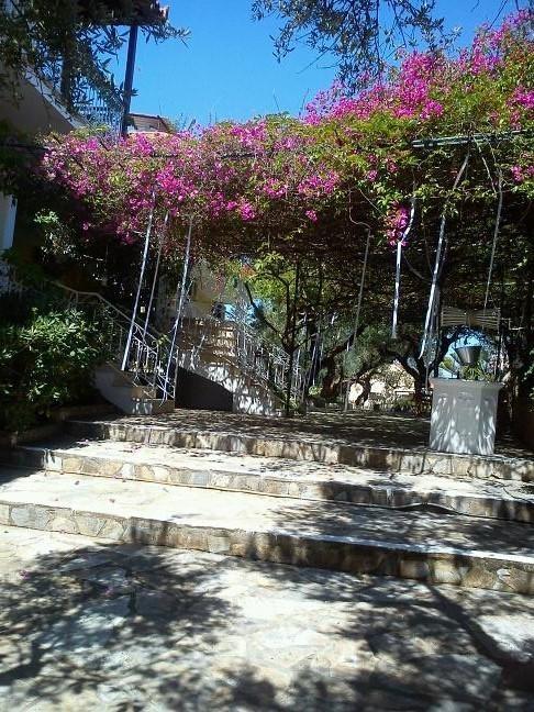 Sofos Apartments Tsilivi  Phòng bức ảnh